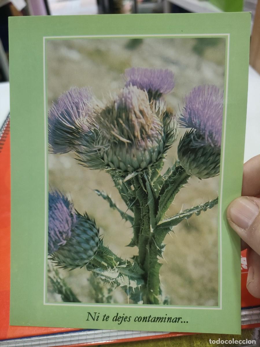 Postkarten: Postal FLORES Y POESIA