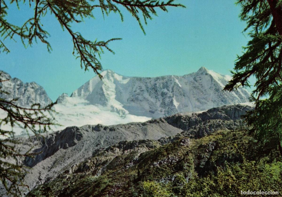Postales: Paisaje Monta&ntilde;a Nevada - Foto 1