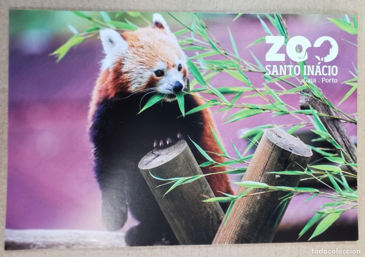 Postcards: TARJETA POSTAL POSTALES PUBLICIDAD ZOO SANTO INACIO GAIA PORTO PORTUGAL