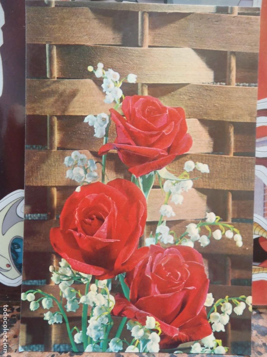 Postales: ROSAS - 1982 - Foto 1