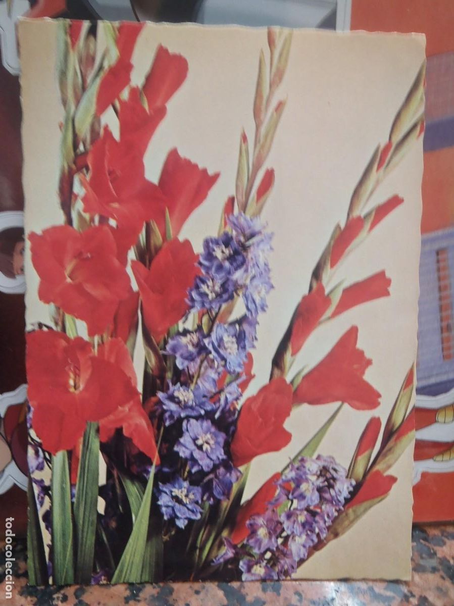 Postais: FLORES - 1976