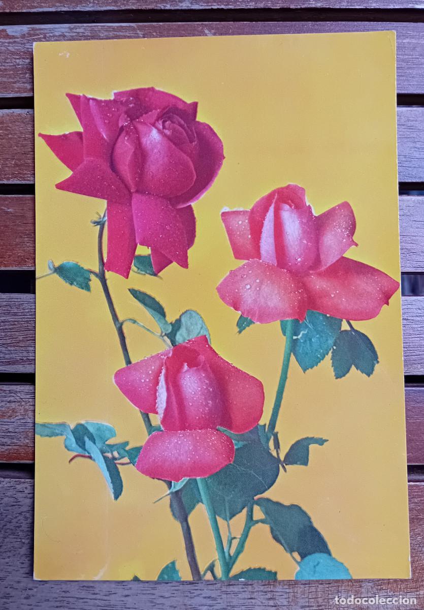 Postcards: POSTAL - TEM&Aacute;TICA - FLORES Y PLANTAS - Raker S 8124 B - Rosas en fondo amarillo - 1971
