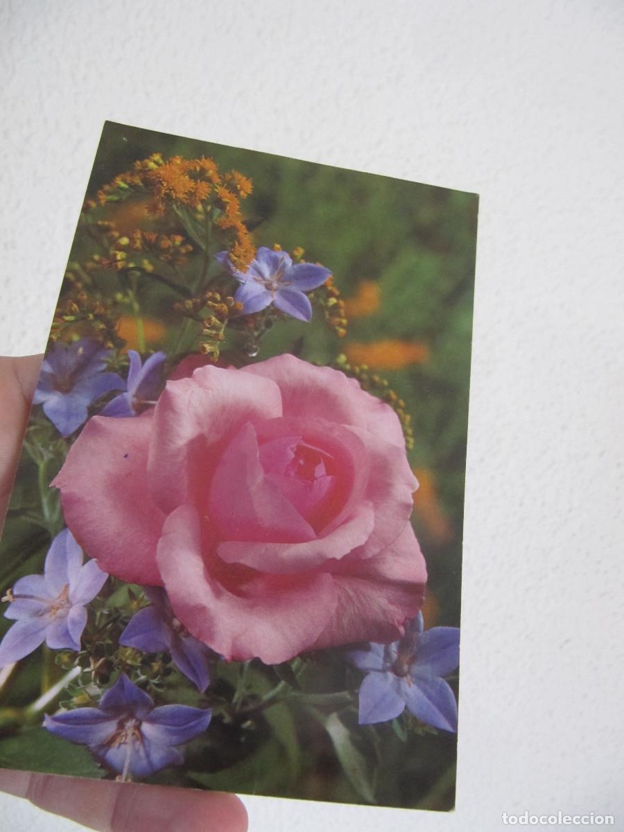 Postcards: POSTAL FLORES ROSAS. EDITA CYZ 7651/29-D USADA ESCRITA