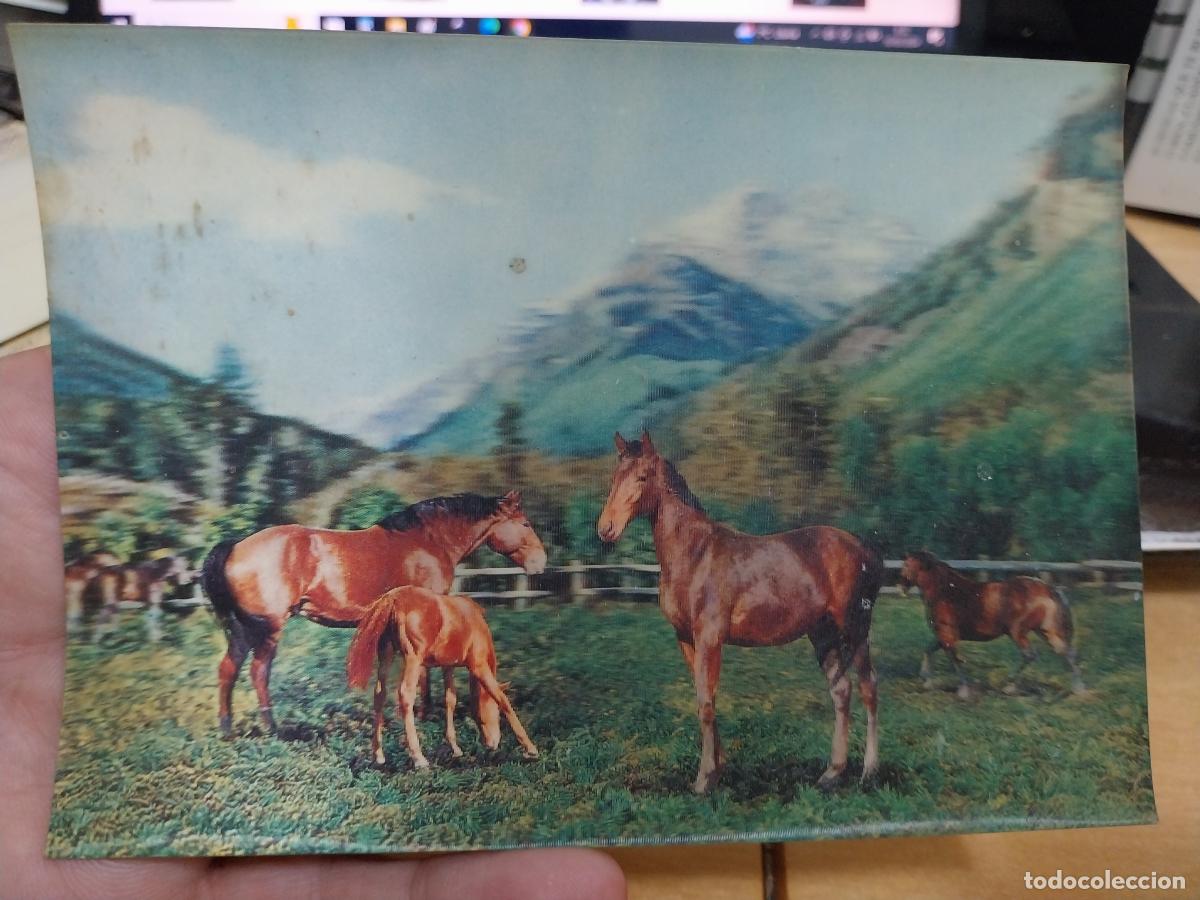 CABALLOS POSTAL HOLOGRAMA