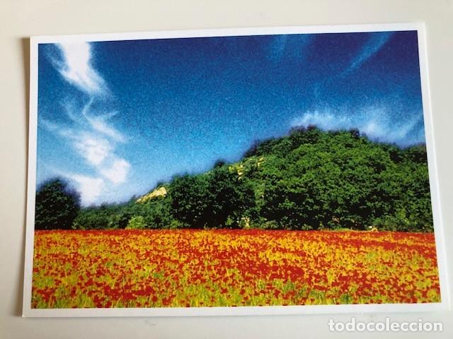 Postais: Postal Colecci&oacute;n &rdquo;Instants du sud&rdquo; 1999