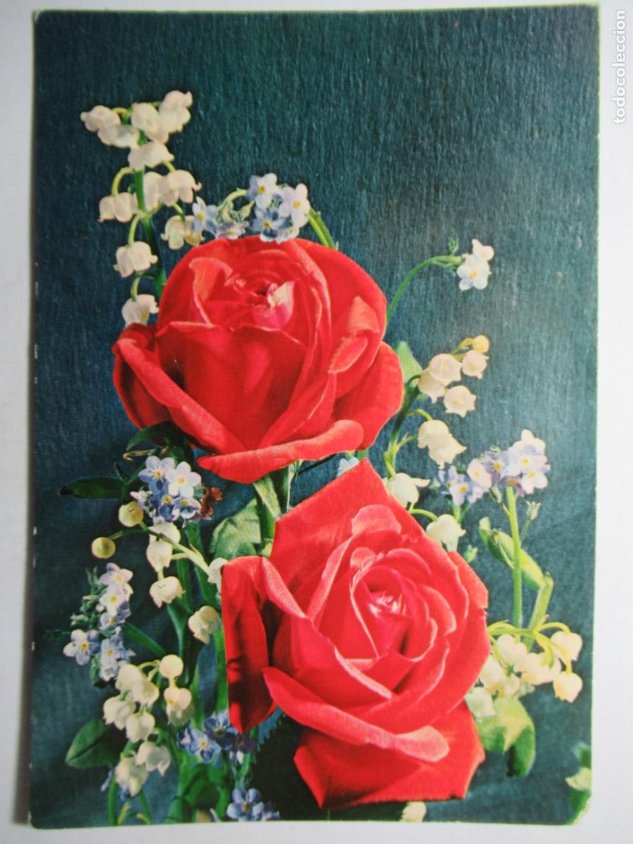 Postales: Postal Flores Rosas - Foto 1