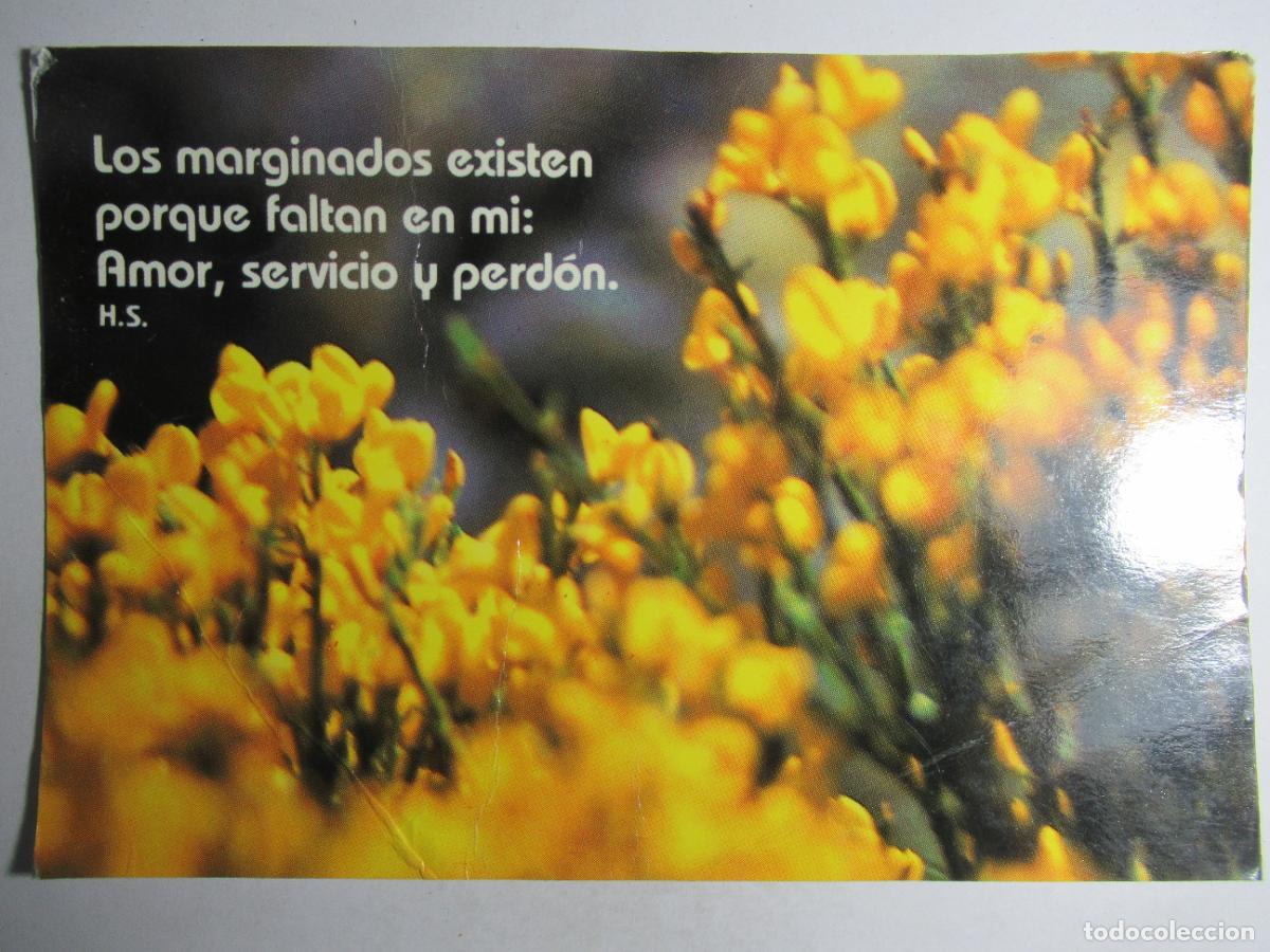 Cartoline: Postal Flores