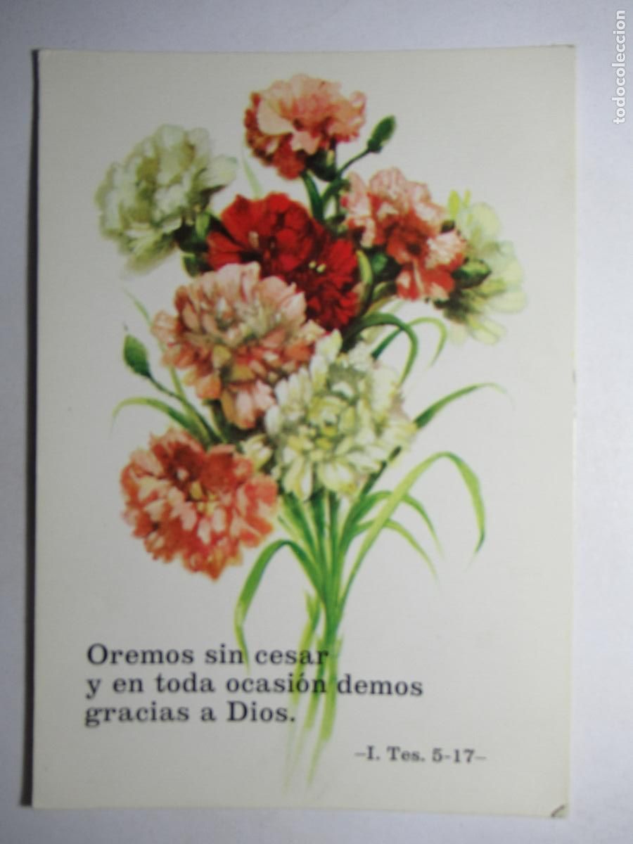 Cartoline: Postal Flores