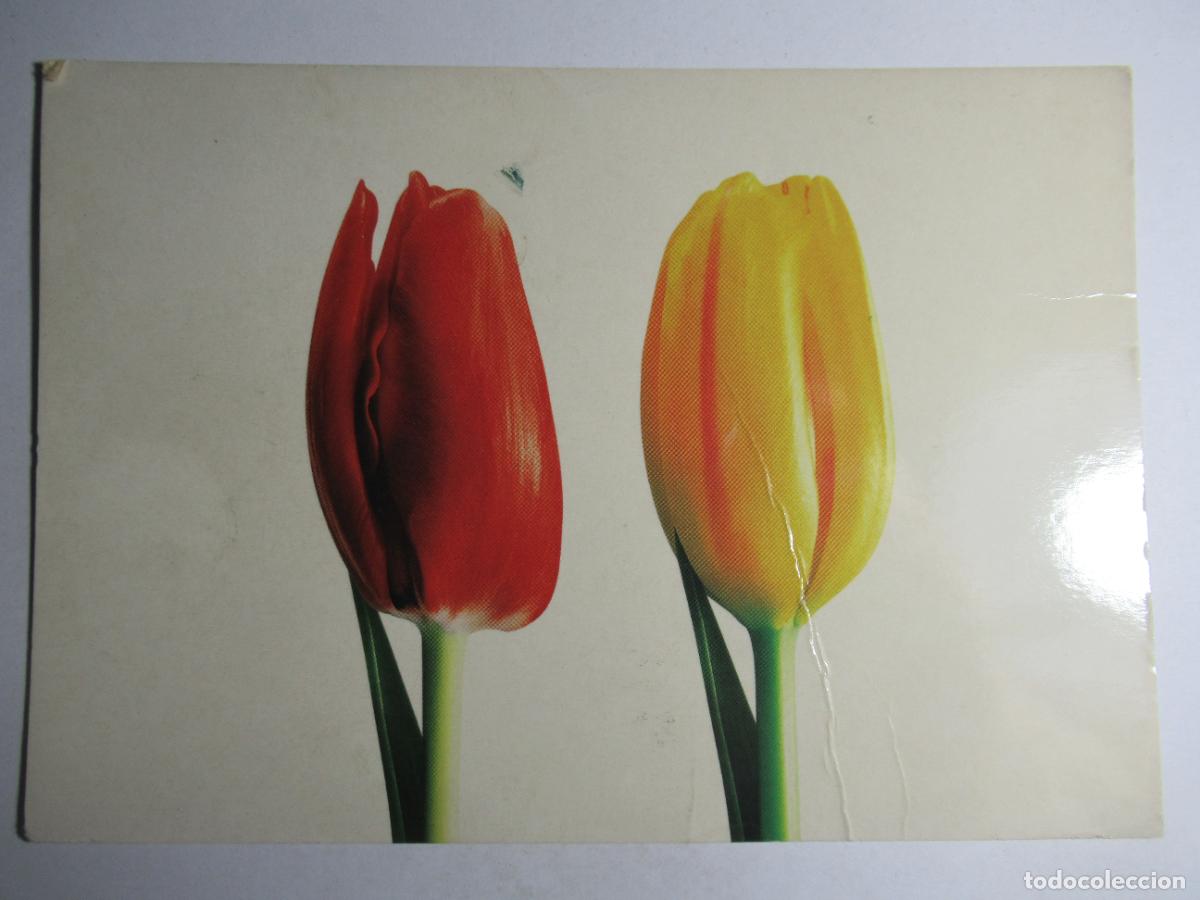 Cartoline: Postal Flores