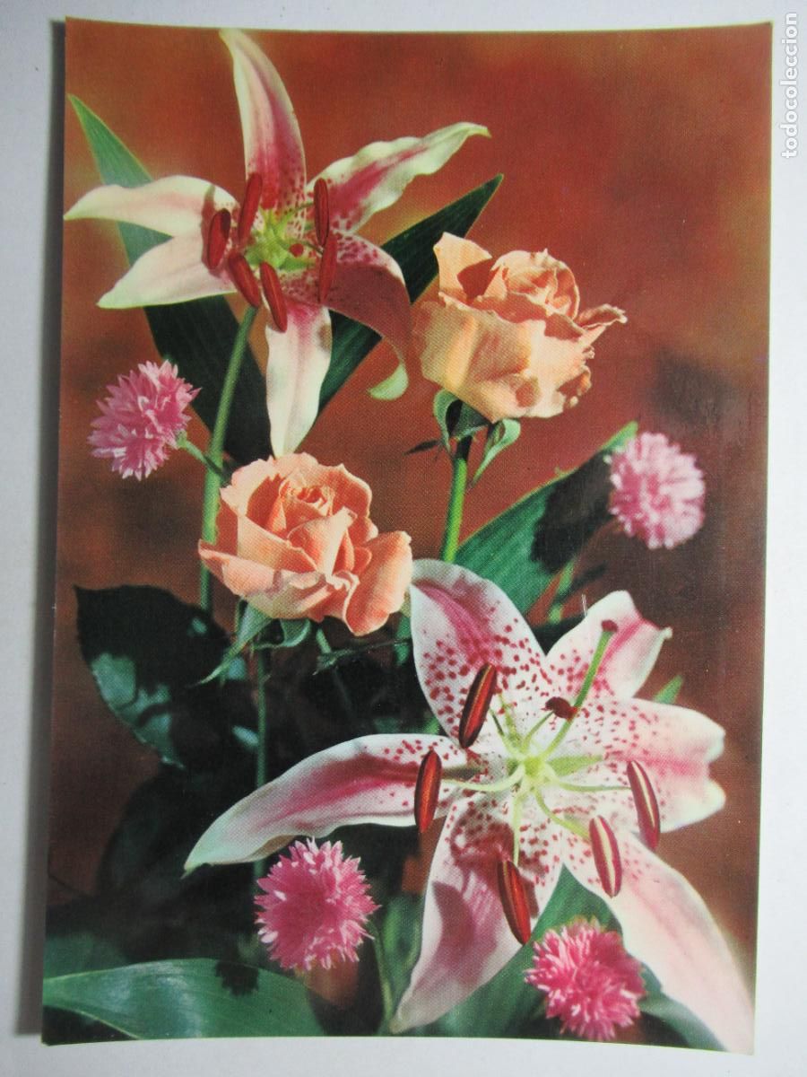 Postcards: Postal Flores