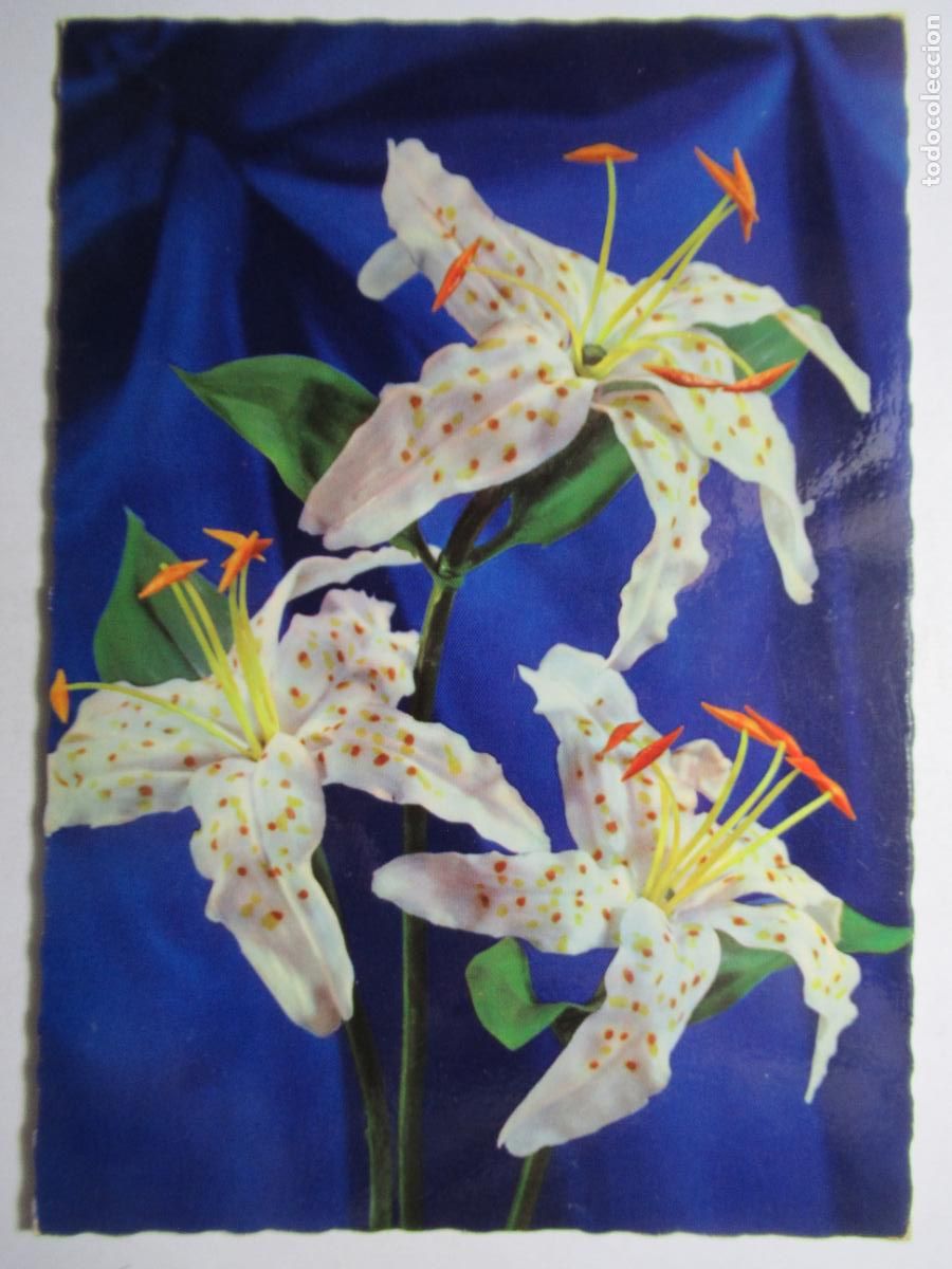 Cartoline: Postal Flores
