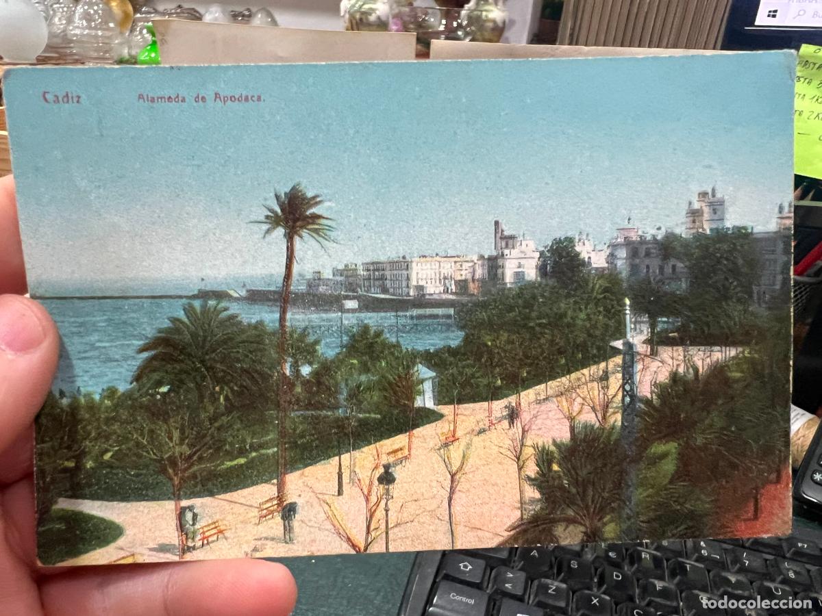 Postales: POSTAL DE CADIZ - ALAMEDA DE APODACA - Foto 1