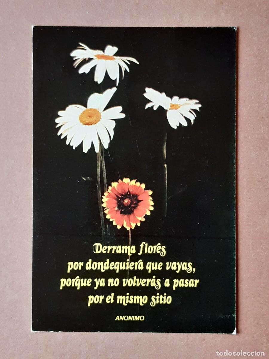 Postais: POSTAL POSTERS DEL TIEMPO. SERIE PENSAMIENTO. 23 DERRAMA FLORES. 1978. ESCRITA SIN CIRCULAR.