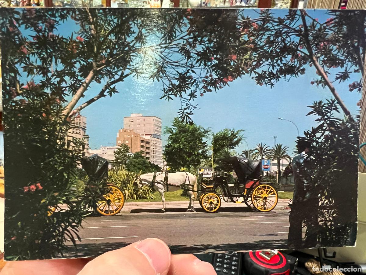 Postkarten: POSTAL DE CADIZ - AVENIDA RAMON DE CARRANZA