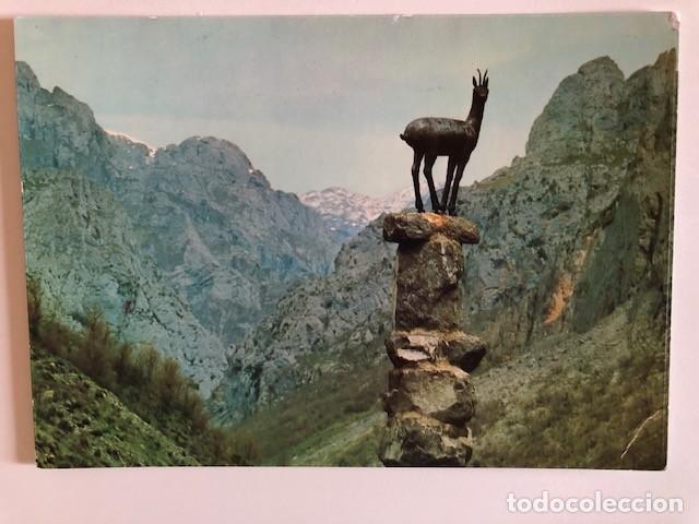 Postales: Postal Turismo Le&oacute;n - Picos de Europa - Foto 1