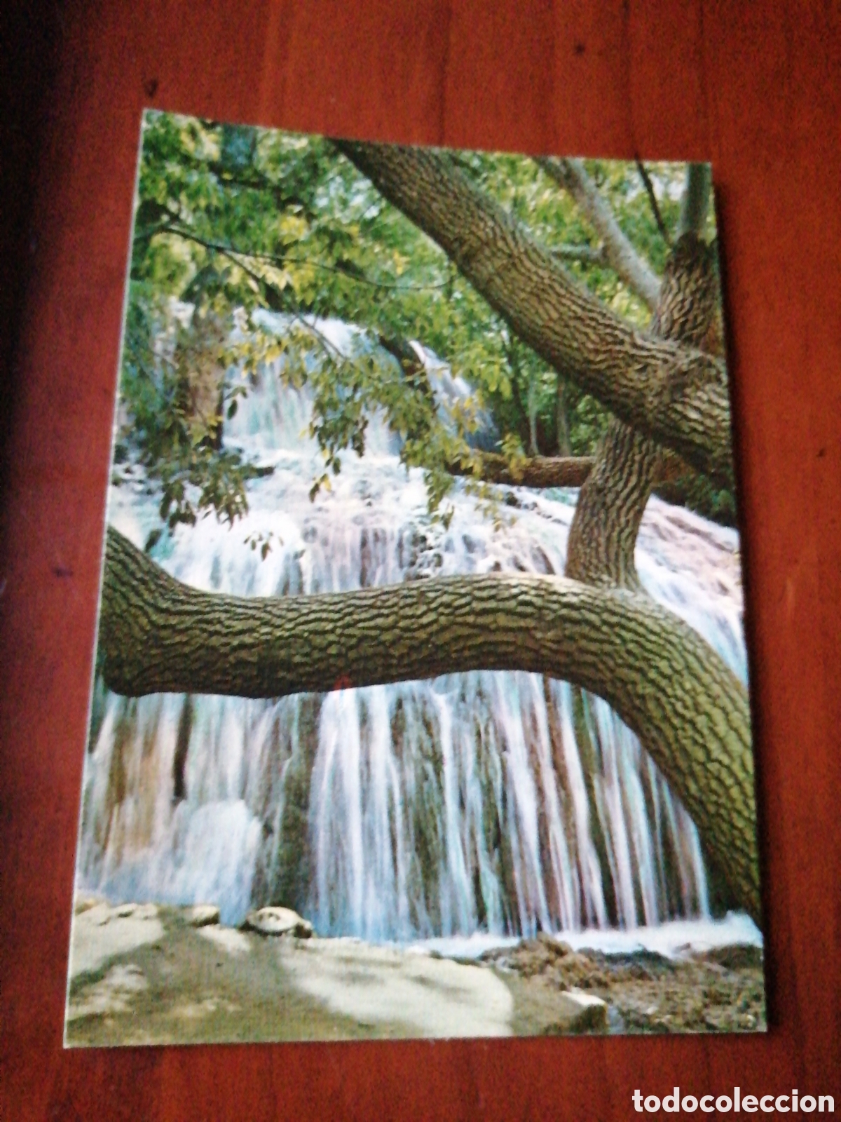 Postales: POSTAL MONASTERIO DE PIEDRA ZARAGOZA CASCADA IRIS - Foto 1