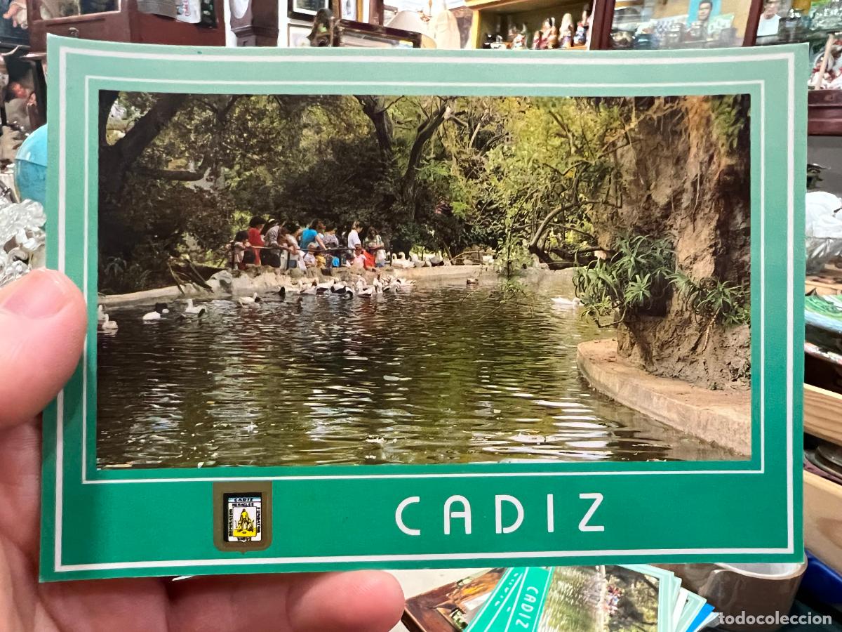 Postkarten: POSTAL DE CADIZ - PARQUE GENOVES