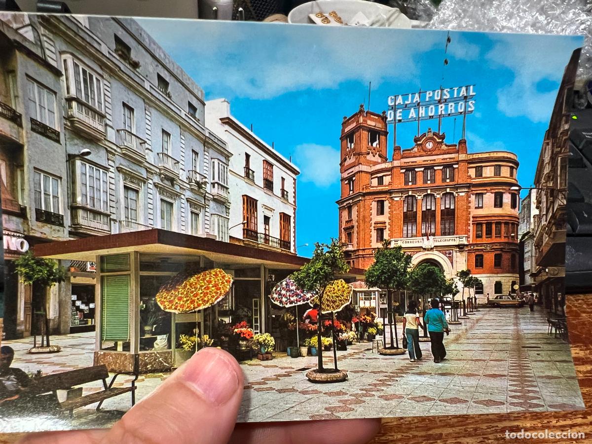 Postkarten: POSTAL DE CADIZ - PLAZA DE LAS FLORES