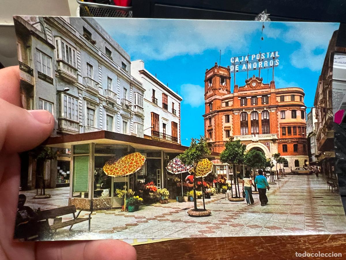 Postkarten: POSTAL DE CADIZ - PLAZA DE LAS FLORES