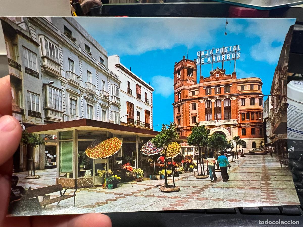 Postkarten: POSTAL DE CADIZ - PLAZA DE LAS FLORES