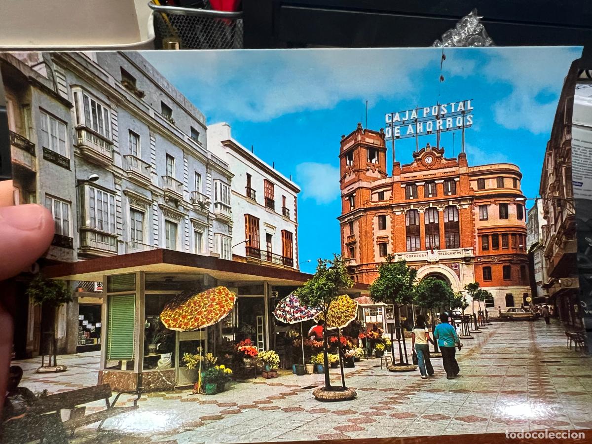 Postkarten: POSTAL DE CADIZ - PLAZA DE LAS FLORES