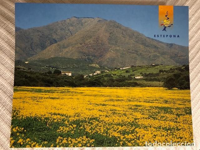 Postales: Postal Estepona - Sierra Bermeja - Foto 1