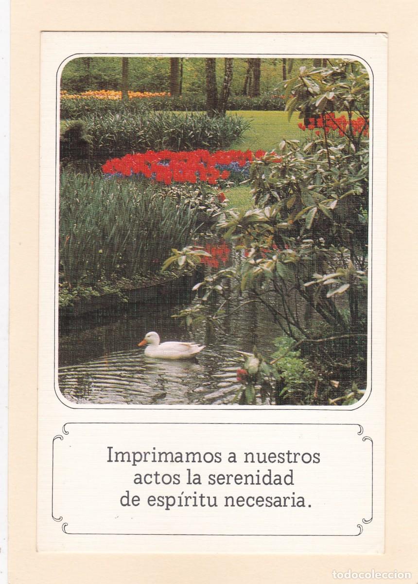 Postais: PAISAJE CON FLORES. MENSAJE: IMPRIMAMOS A NUESTROS ACTOS LA SERENIDAD DE ESP&Iacute;RITU NECESARIA (1980)