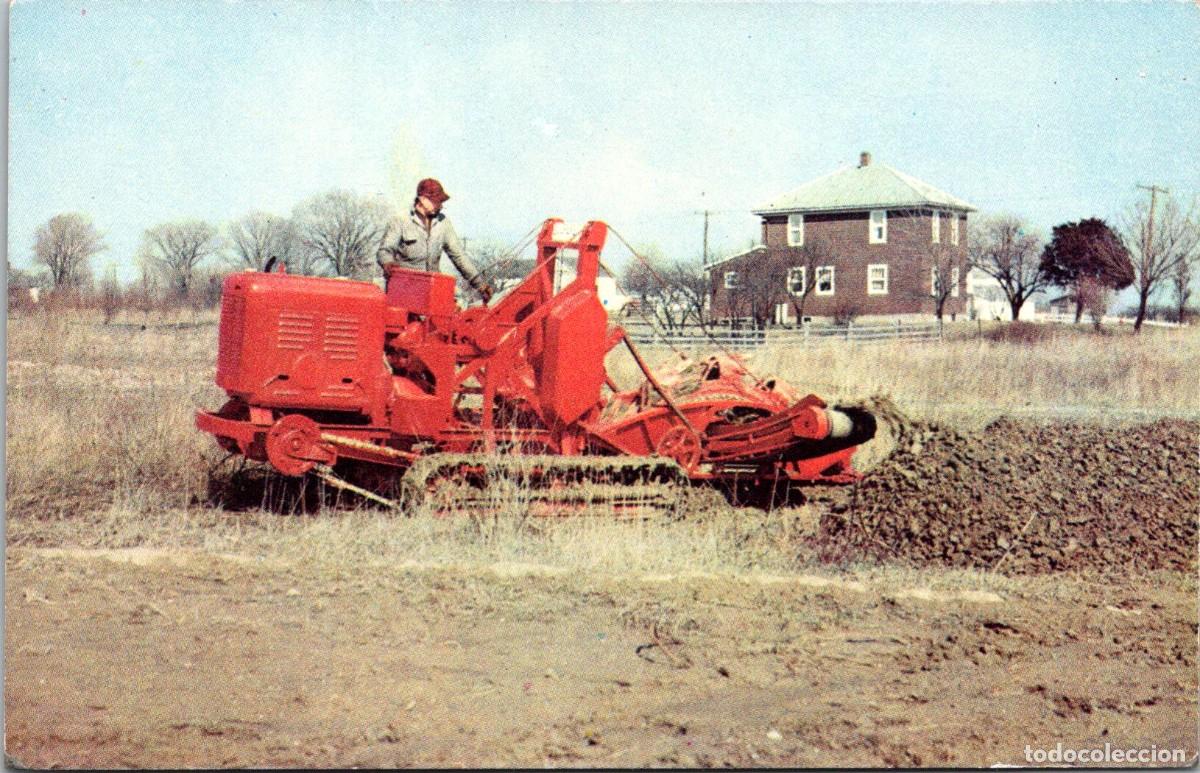 Postais: Buckeye 303 Utility Ditcher - Zanjadora utilitaria - 137x89mm - Maquinaria pesada