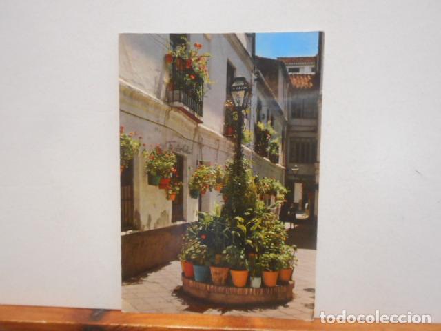 Postales: BONITA POSTAL. CIRCULADA. MALAGA. PASAJE DE CLAVERO. - Foto 1