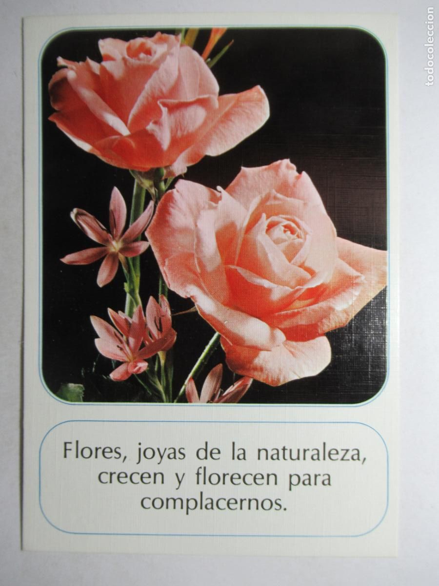 Postales: La Postal de la Amistad - Escudo de Oro - Foto 1