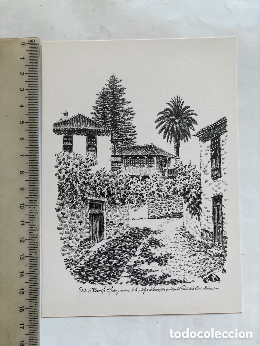 Postales: DIBUJO. ISLA DE TENERIFE. CAMPI&Ntilde;A DEL PUERTO DE LA CRUZ. POR MART&Iacute;N DE TUY, 1971.