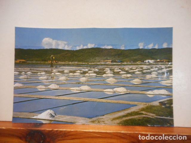 Cartoline: BONITA POSTAL. CIRCULADA. CABO FRIO - EST. DO RIO SALINAS. BRASIL TURISTICO