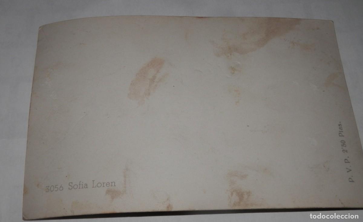 Postales: UNA ANTIGUA TARGETA POSTAL DE MARIA SOFIA LOREN - Foto 2