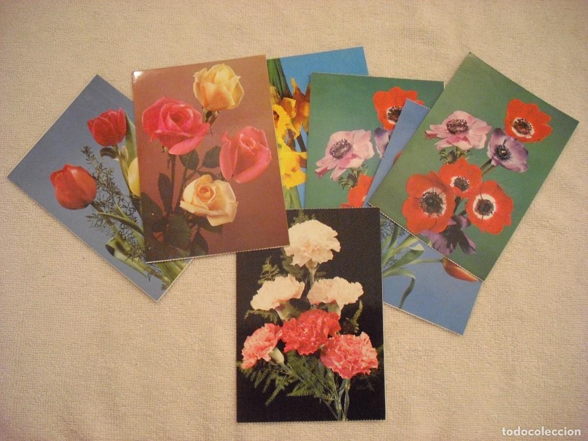 Postales: LOTE DE 7 POSTALES DE FLORES , SIN CIRCULAR - Foto 1