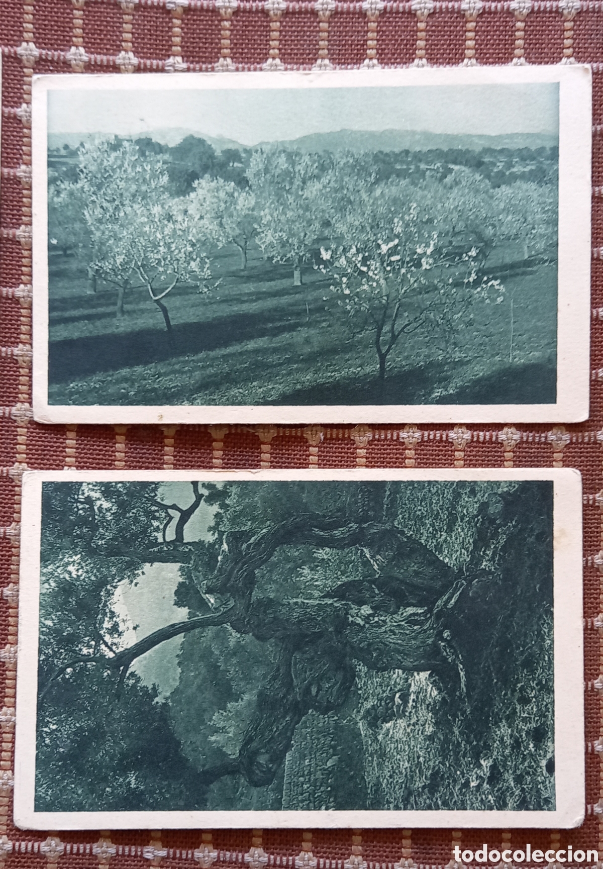 Postales: ANTIGUAS POSTALES ,MALLORCA? ALMENDROS EN FLOR - Foto 3
