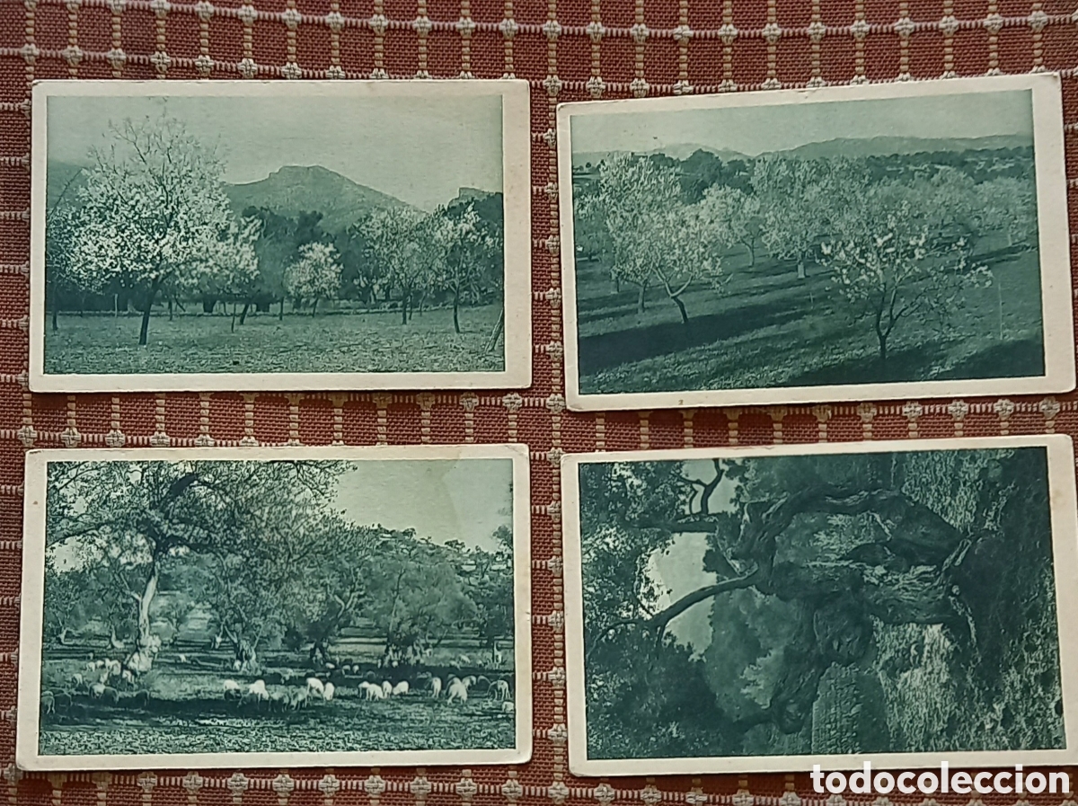 Postales: ANTIGUAS POSTALES ,MALLORCA? ALMENDROS EN FLOR - Foto 1