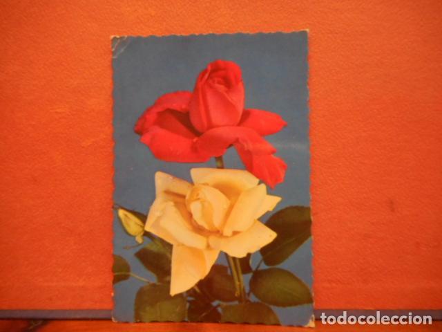 Postales: BONITA POSTAL CIRCULADA. ROSAS - Foto 1