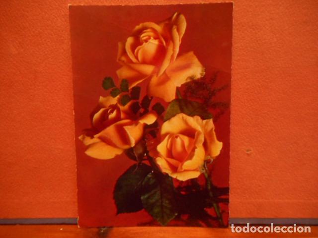 Postales: BONITA POSTAL CIRCULADA. ROSAS - Foto 1