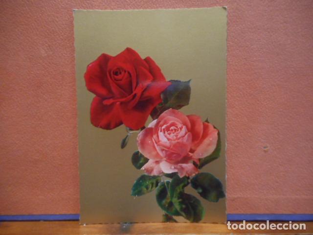 Postales: BONITA POSTAL CIRCULADA. ROSAS - Foto 1