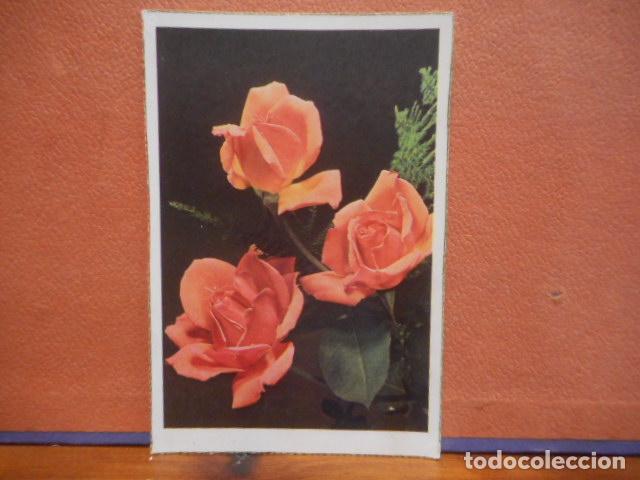 Postales: BONITA POSTAL CIRCULADA. ROSAS - Foto 1