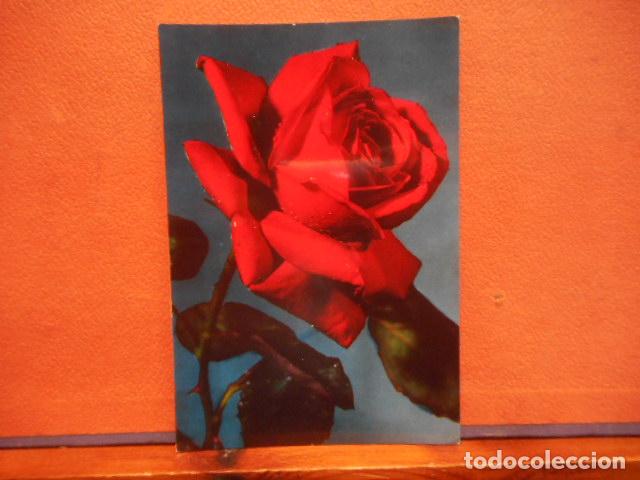 Postcards: BONITA POSTAL CIRCULADA. ROSAS