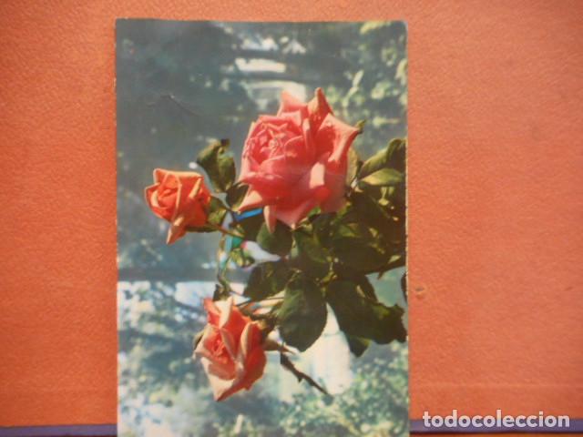 Postcards: BONITA POSTAL CIRCULADA. ROSAS