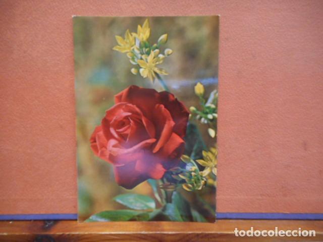 Postales: BONITA POSTAL CIRCULADA. ROSAS - Foto 1