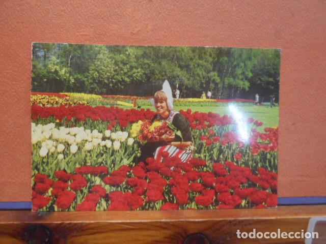 Postales: BONITA POSTAL CIRCULADA. HOLLAND IN FLOWERDECORATION