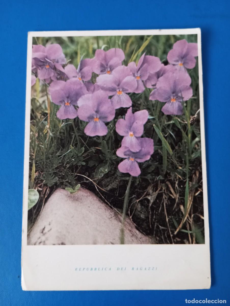 Postales: POSTAL ITALIANA, FLORES, CIRCULADA - Foto 1