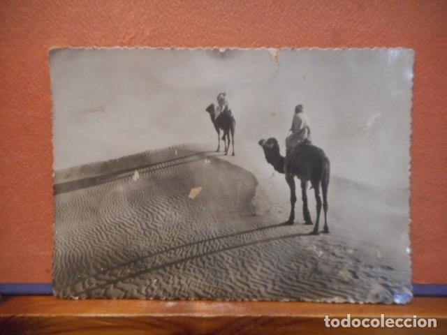 Postales: BONITA POSTAL CIRCULADA. CHAMELIERS SUR LA DUNE - Foto 1