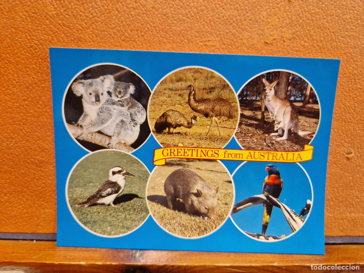 Cartes Postales: BONITA POSTAL NUEVA. GREETINGS FROM AUSTRALIA