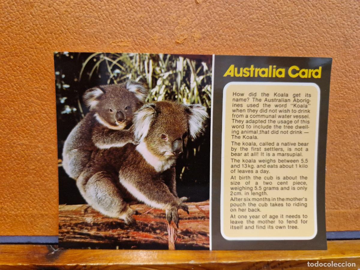 Cartes Postales: BONITA POSTAL NUEVA. AUSTRALIA CARD
