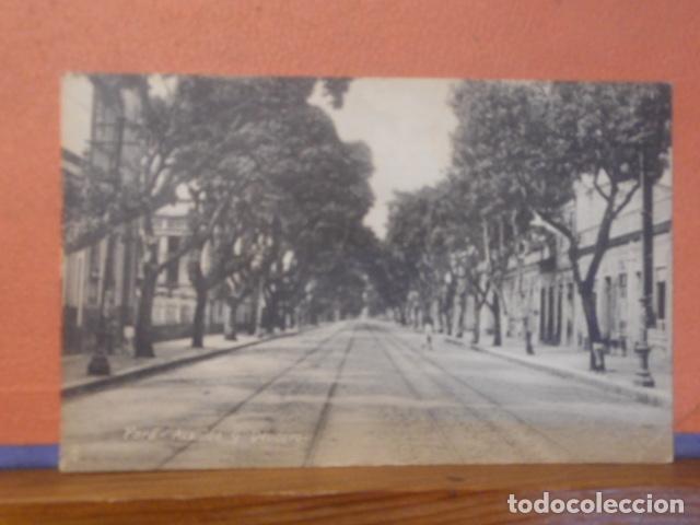 Postais: BONITA POSTAL NUEVA. AVENIDA G DEODORO