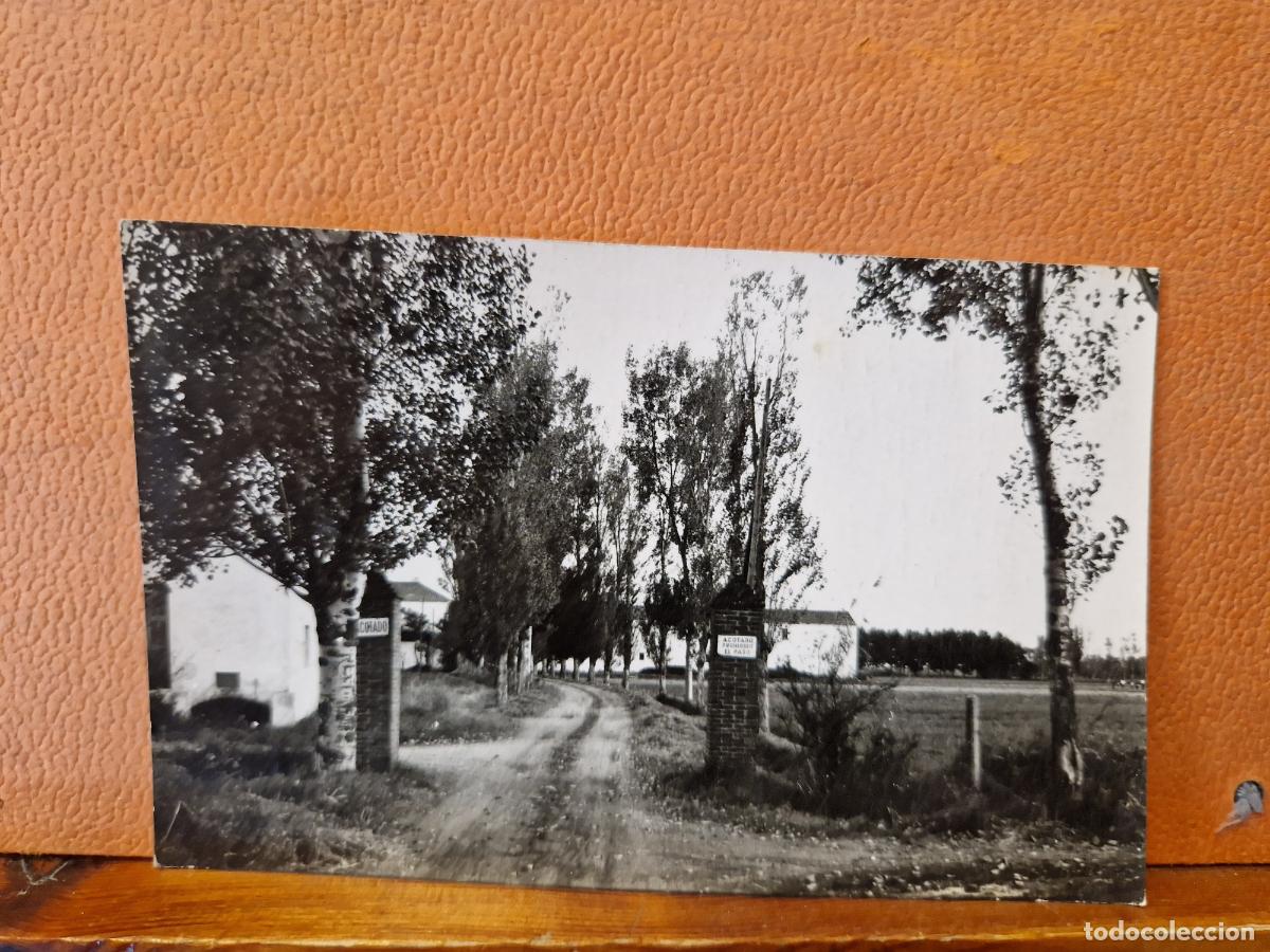 Cartes Postales: BONITA POSTA NUEVA. PAISAJE A BLANCO Y NEGRO